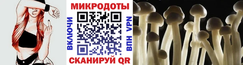 Галлюциногенные грибы Magic Shrooms  Туран 